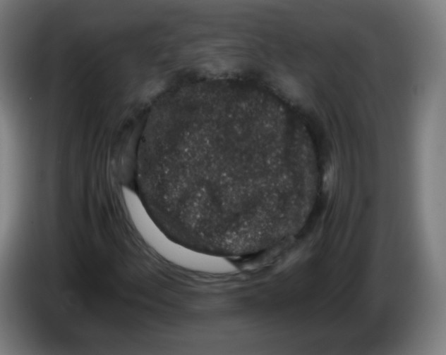 X0000086241156200704261910