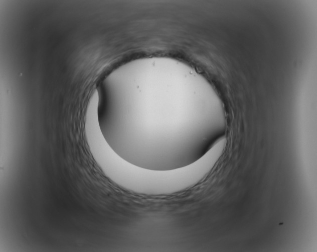 X0000086241157200704261910
