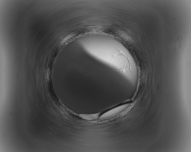 X0000086241161200704261910