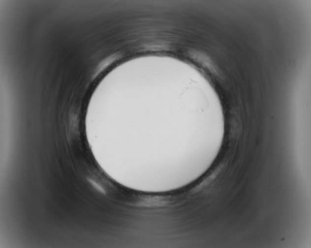 X0000086241162200704261910