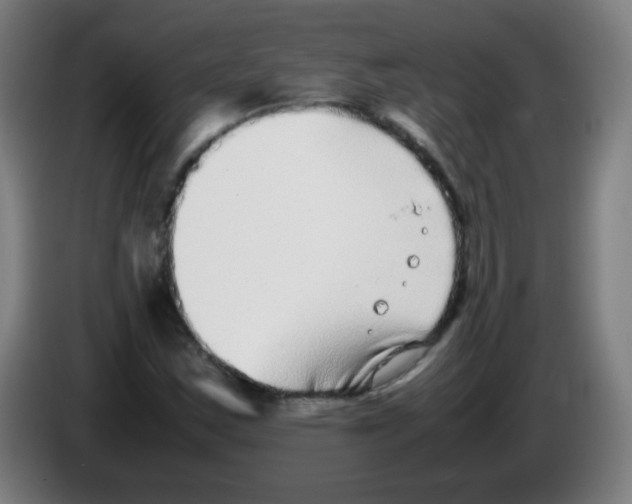 X0000086241163200704261910