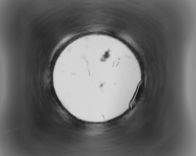 X0000086241164200704261910