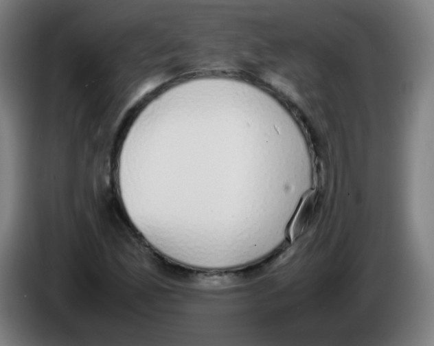 X0000086241165200704261910
