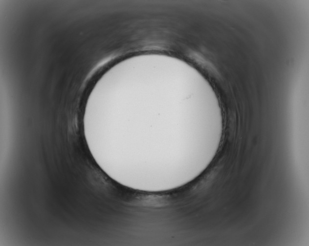 X0000086241166200704261910