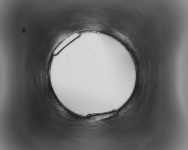 X0000086241168200704261910