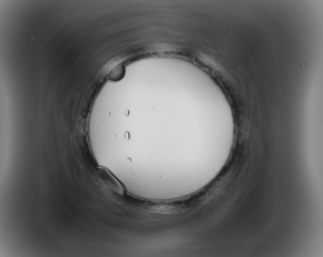 X0000086241169200704261910