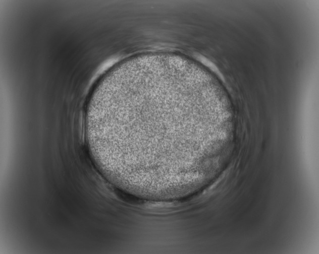 X0000086241171200704261910