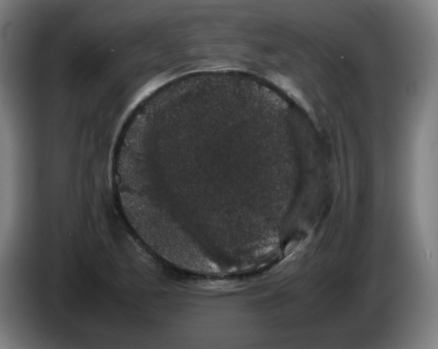 X0000086241173200704261910