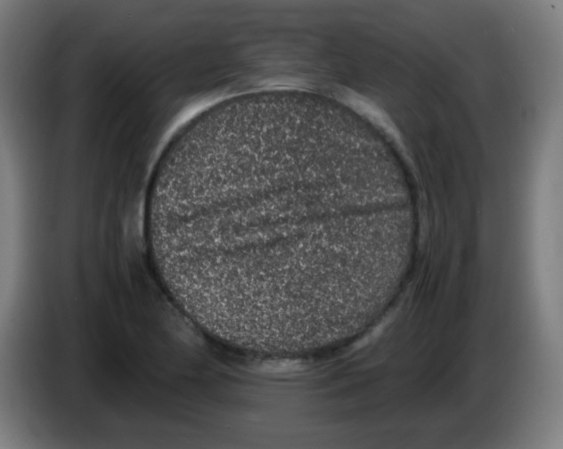 X0000086241174200704261910