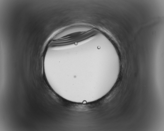 X0000086241175200704261910