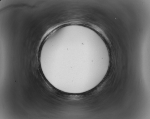 X0000086241176200704261910
