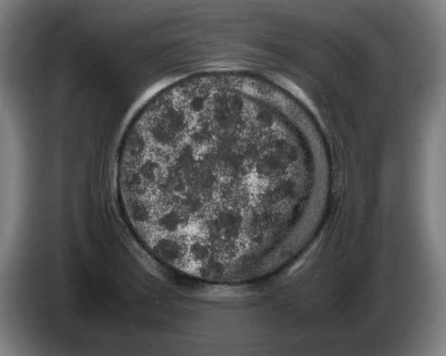 X0000086241179200704261910