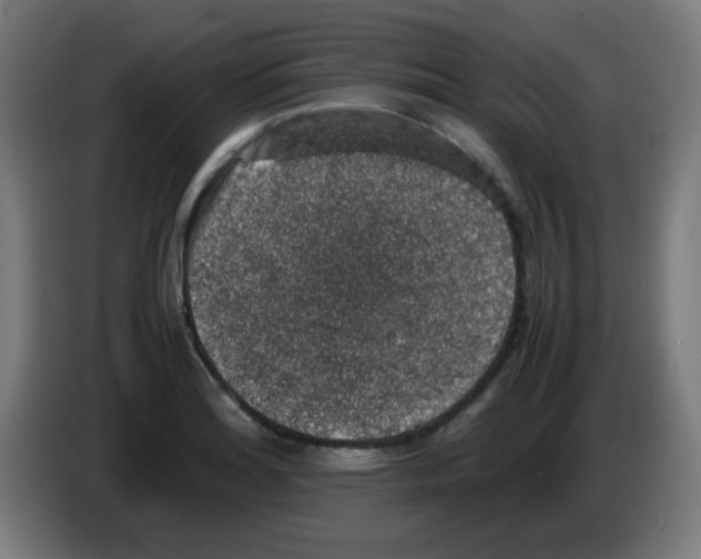 X0000086241180200704261910