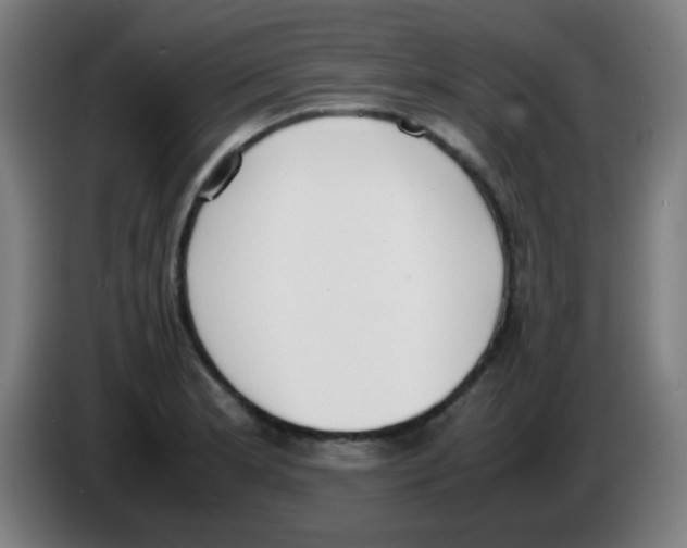 X0000086241181200704261910