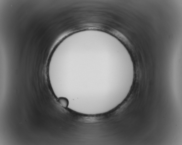 X0000086241182200704261910