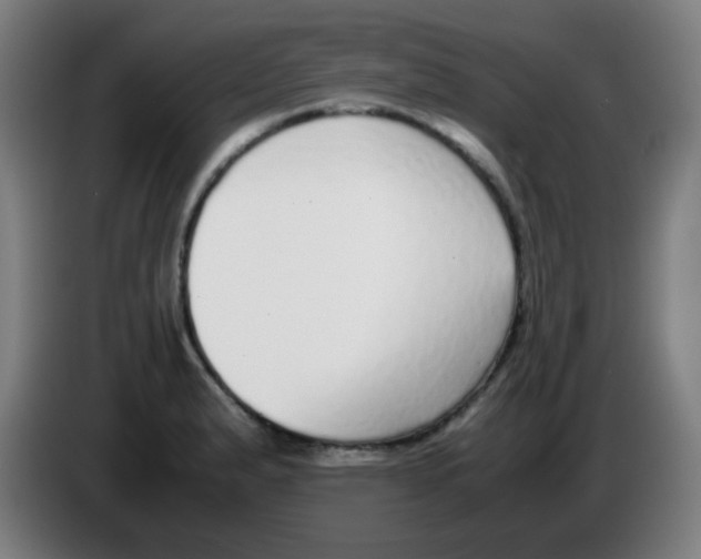 X0000086241183200704261910