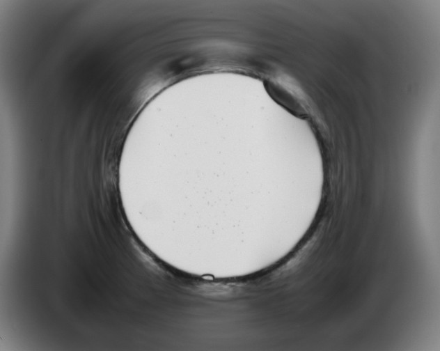 X0000086241185200704261910