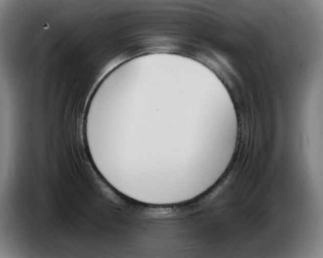 X0000086241186200704261910