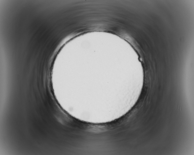 X0000086241187200704261910