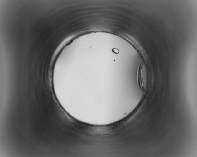 X0000086241188200704261910