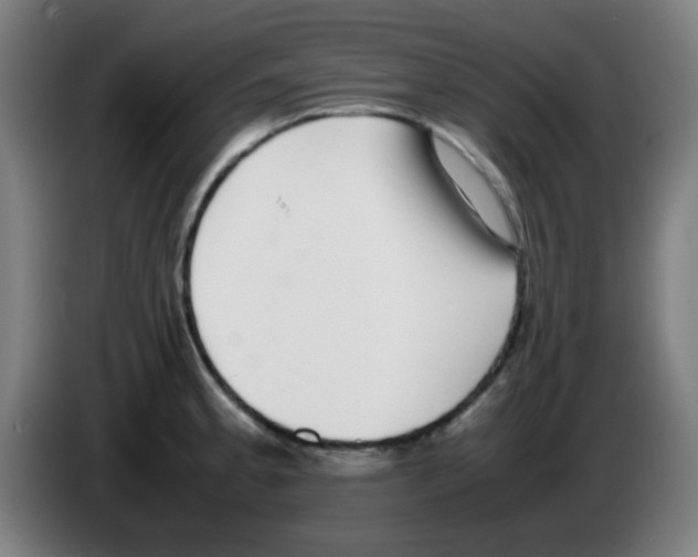 X0000086241189200704261910