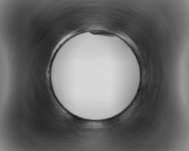 X0000086241190200704261910