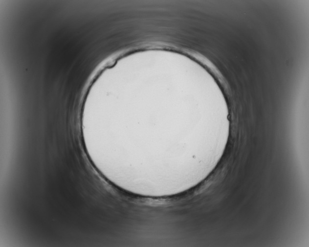 X0000086241191200704261910