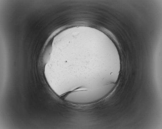 X0000086241192200704261910
