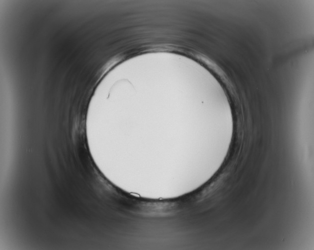 X0000086241193200704261910