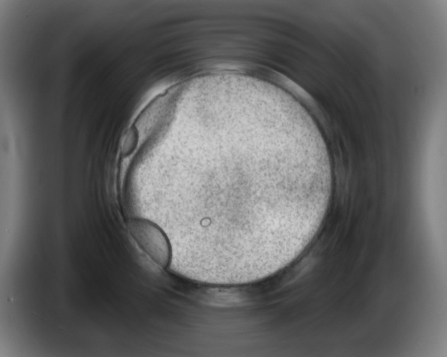 X0000086241194200704261910