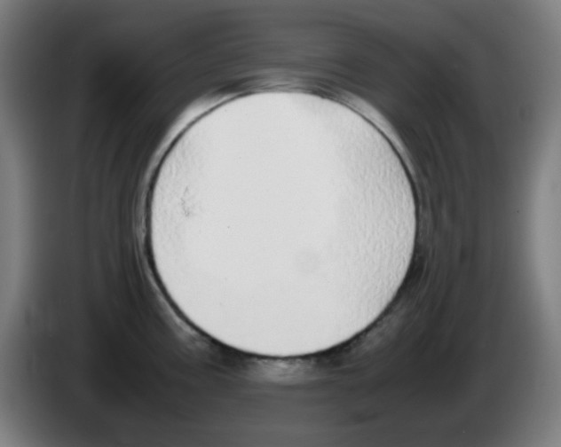X0000086241195200704261910