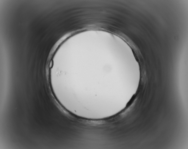X0000086241196200704261910