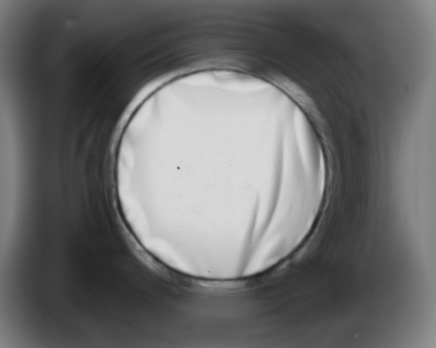 X0000086241200200704261910