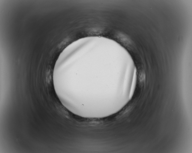 X0000086241204200704261909