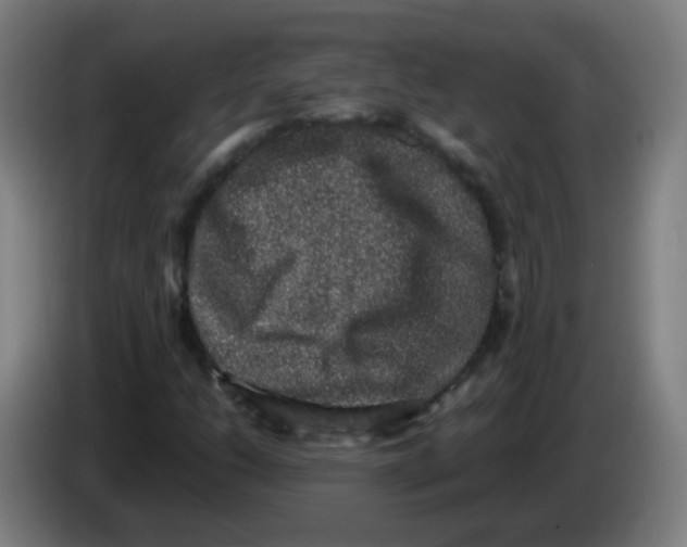X0000086241206200704261909