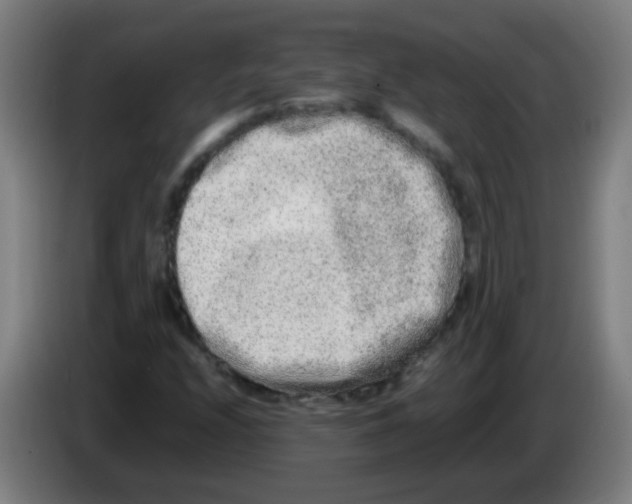 X0000086241208200704261909