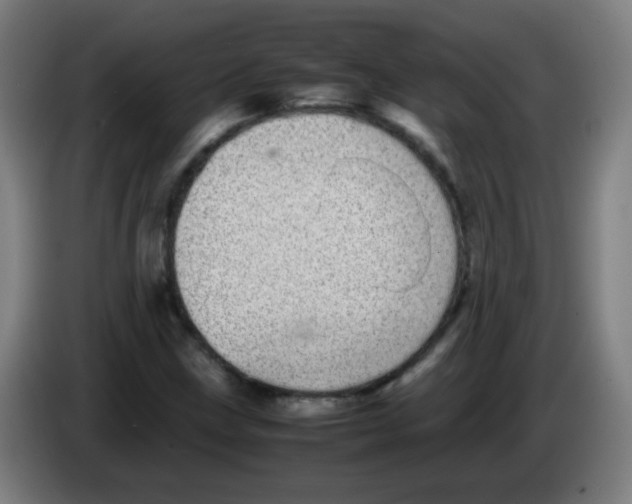 X0000086241211200704261909