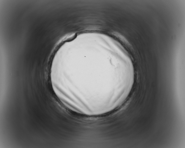 X0000086241212200704261909