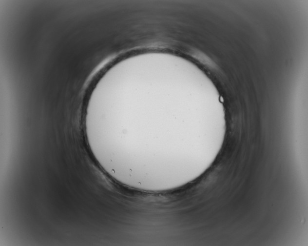 X0000086241216200704261909
