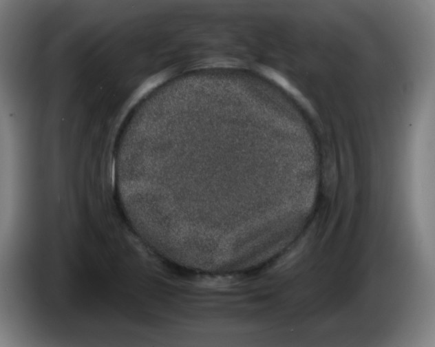 X0000086241221200704261909