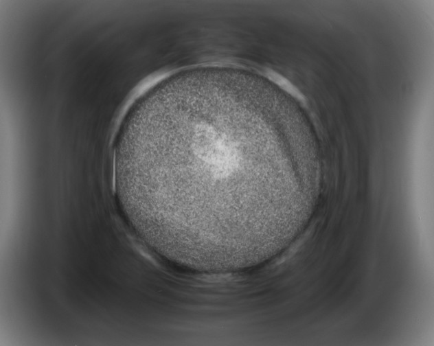 X0000086241223200704261909
