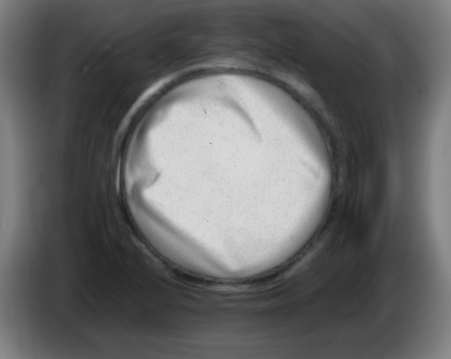 X0000086241224200704261909