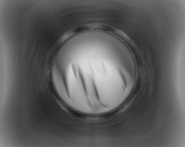 X0000086241225200704261909