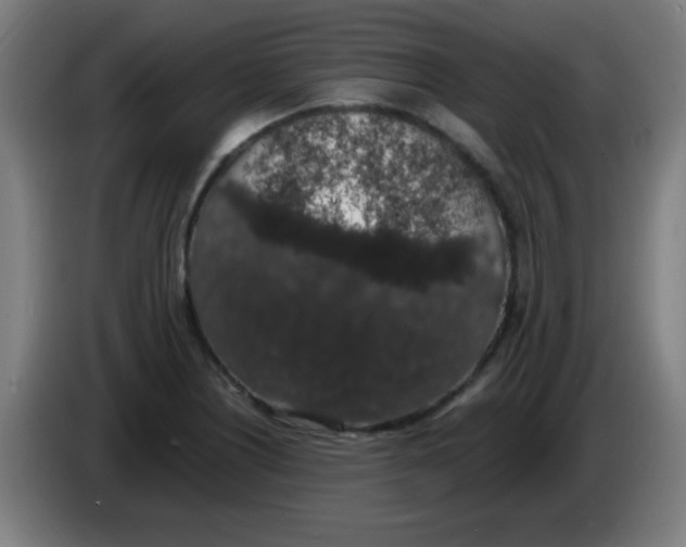 X0000086241226200704261909