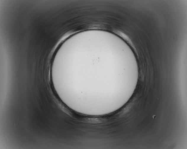 X0000086241227200704261909