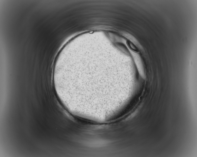 X0000086241228200704261909