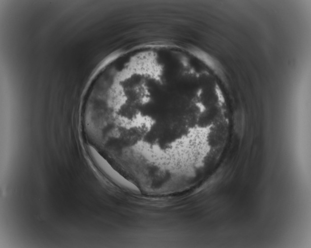 X0000086241229200704261909