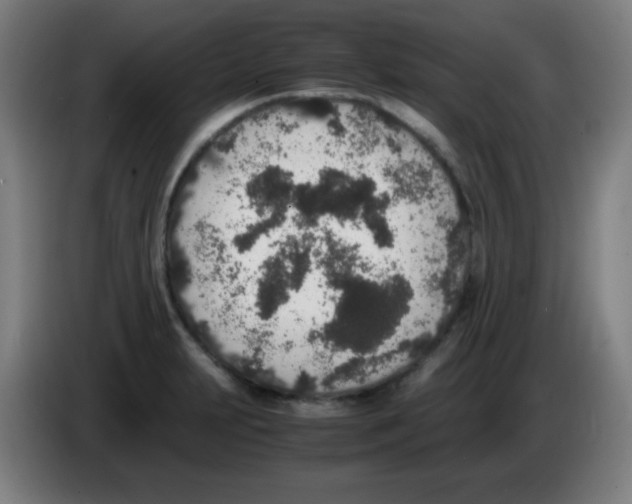 X0000086241231200704261909