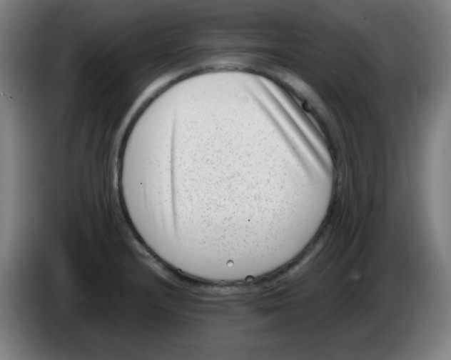 X0000086241232200704261909
