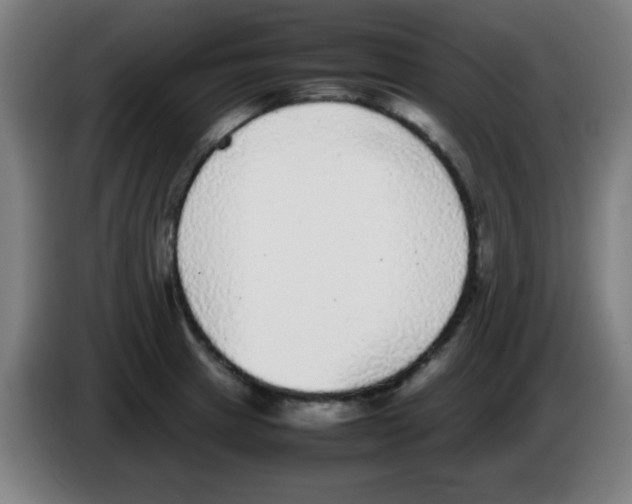 X0000086241233200704261909